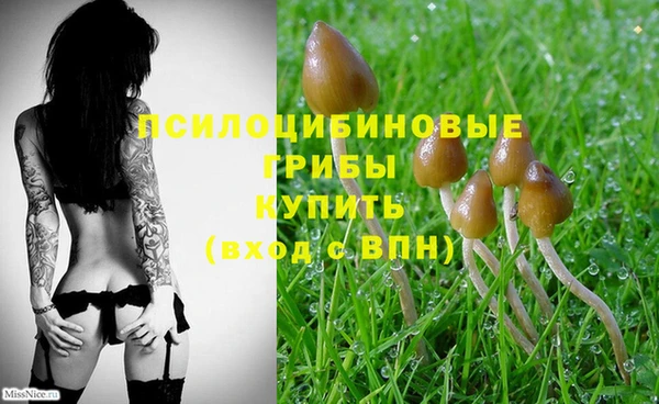 MDMA Premium VHQ Богородицк