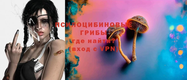mix Богородск