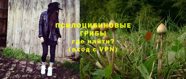 mix Богородск