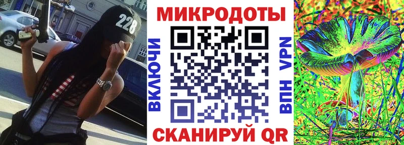 где можно купить   Долгопрудный  Галлюциногенные грибы GOLDEN TEACHER 